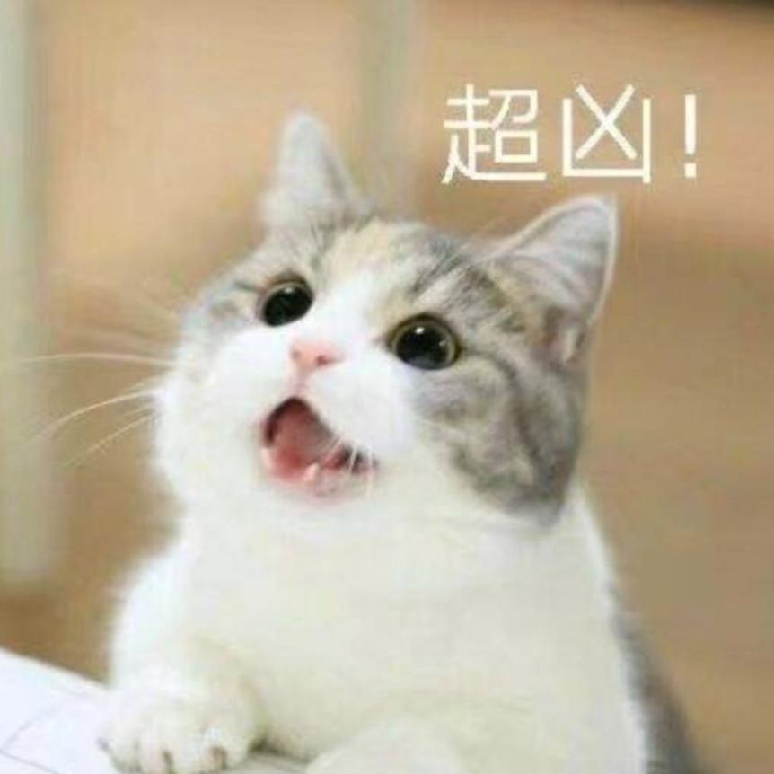 可儿