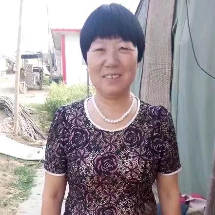 民间艺人（小萍说书，河南坠子）