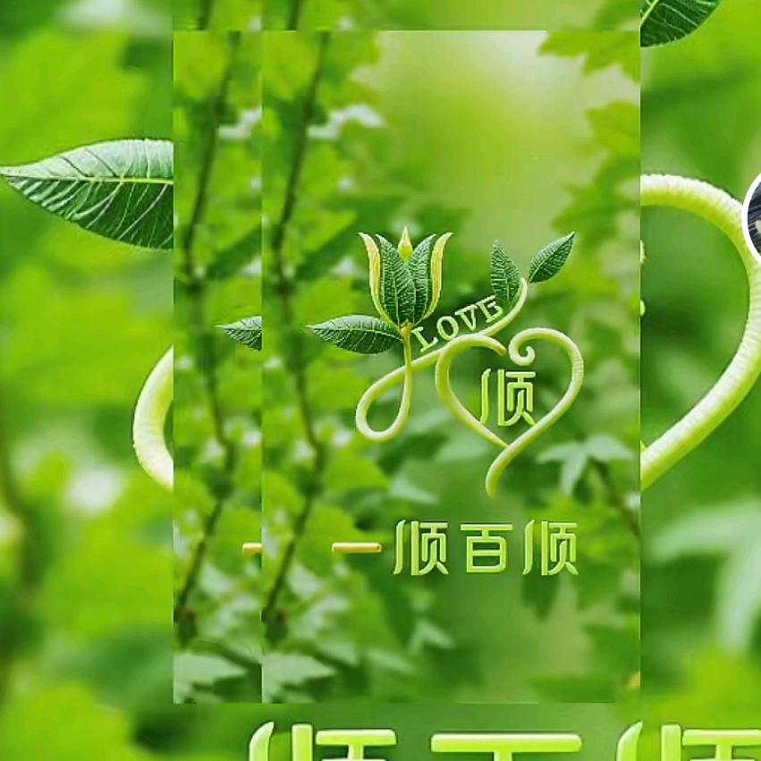 放下1219【幸运】🍒