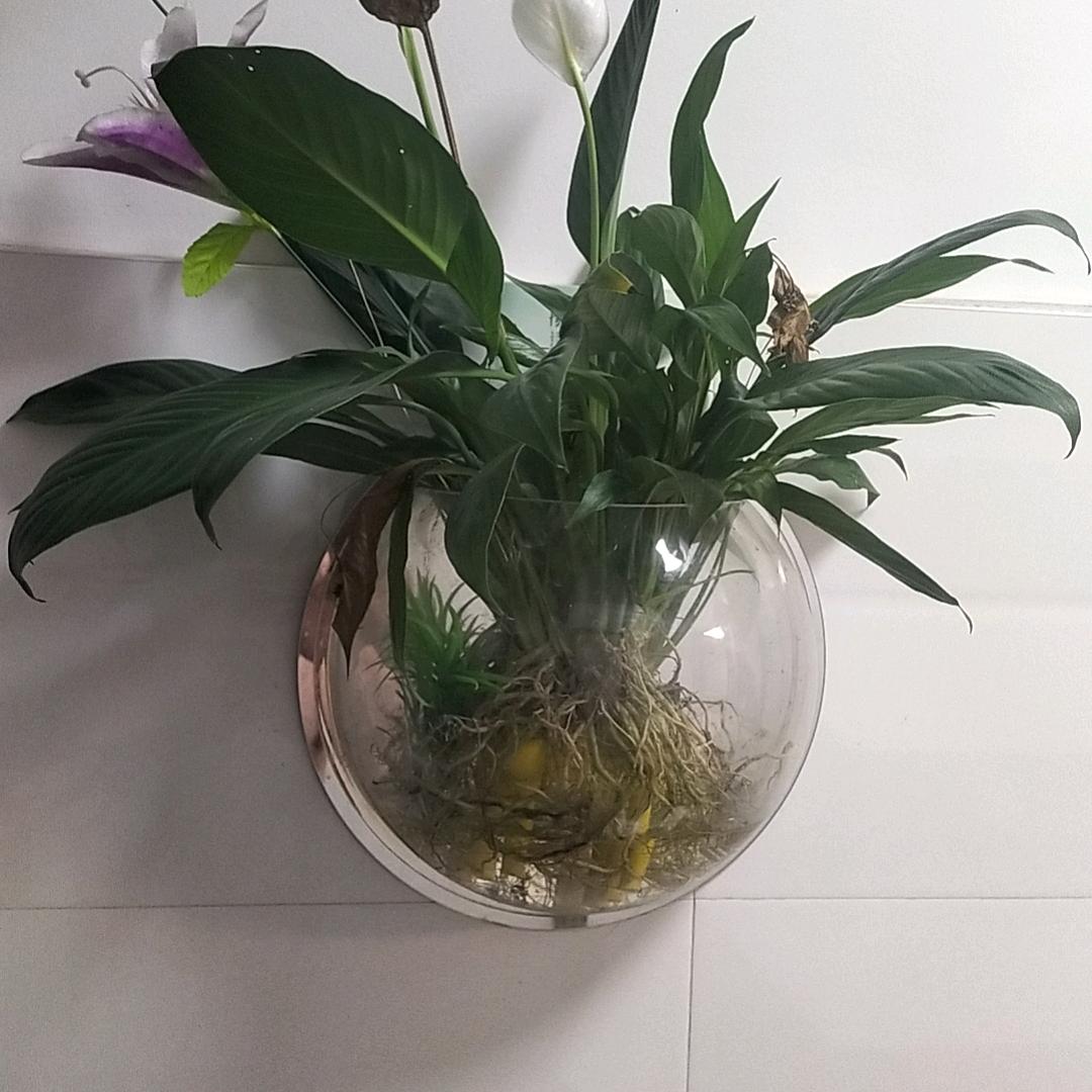 陈哥