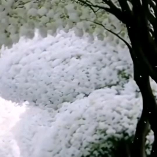 余生随心