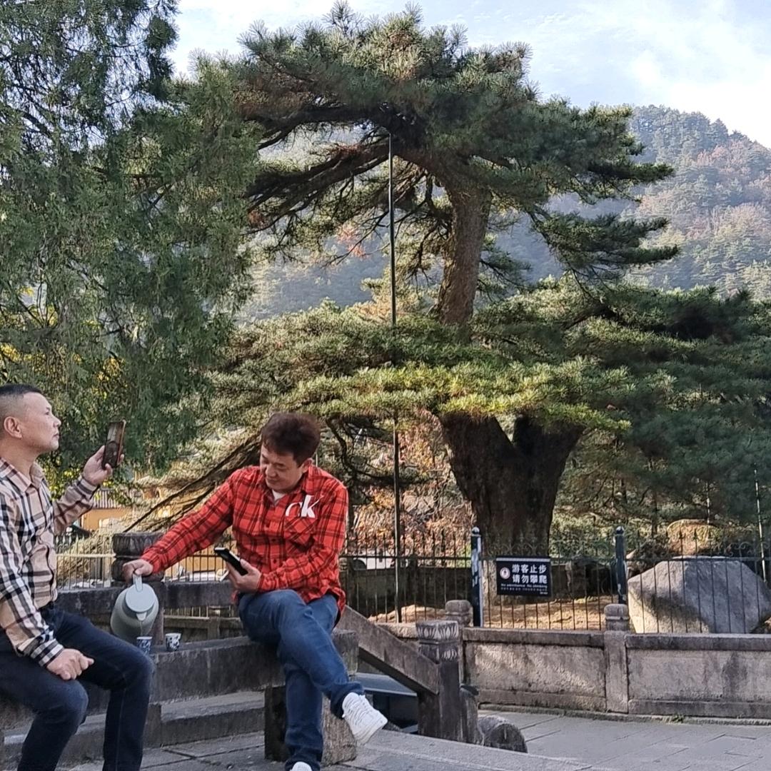 老乡私房茶