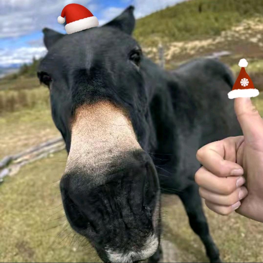 温奈大王（努力签绘版）