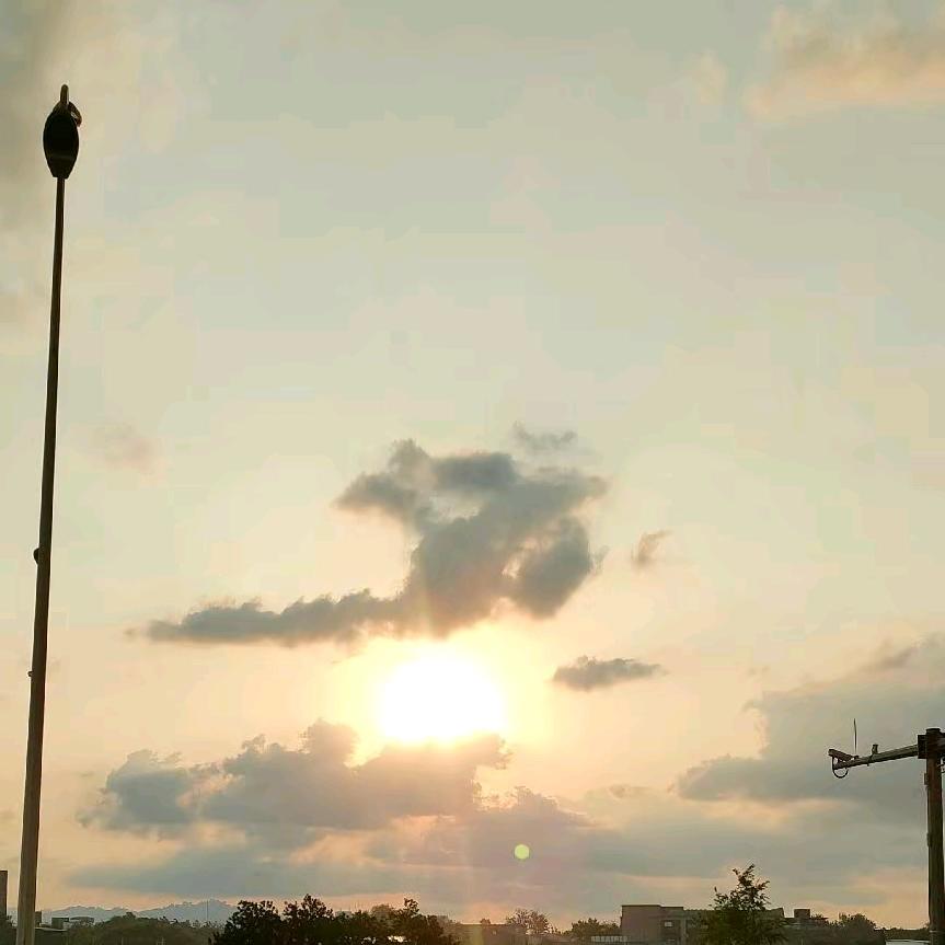 果果