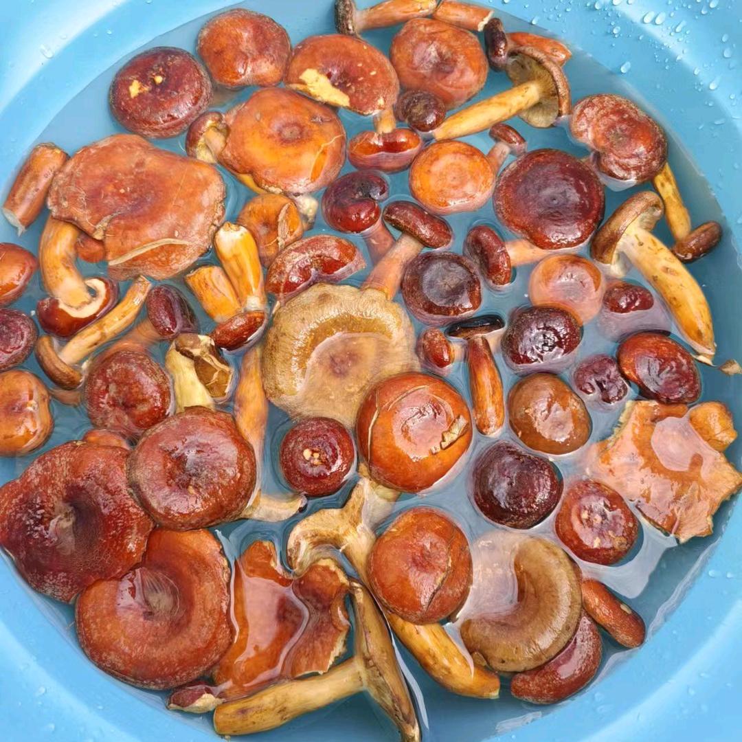 （鱼生💕平安）⁷⁶¹