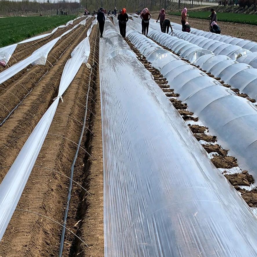 临沂市罗庄区恒辉大棚材料厂