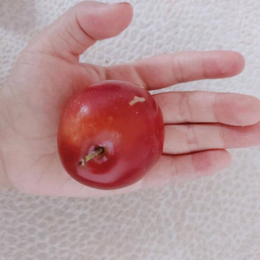 蜗牛牵着蜗牛散步