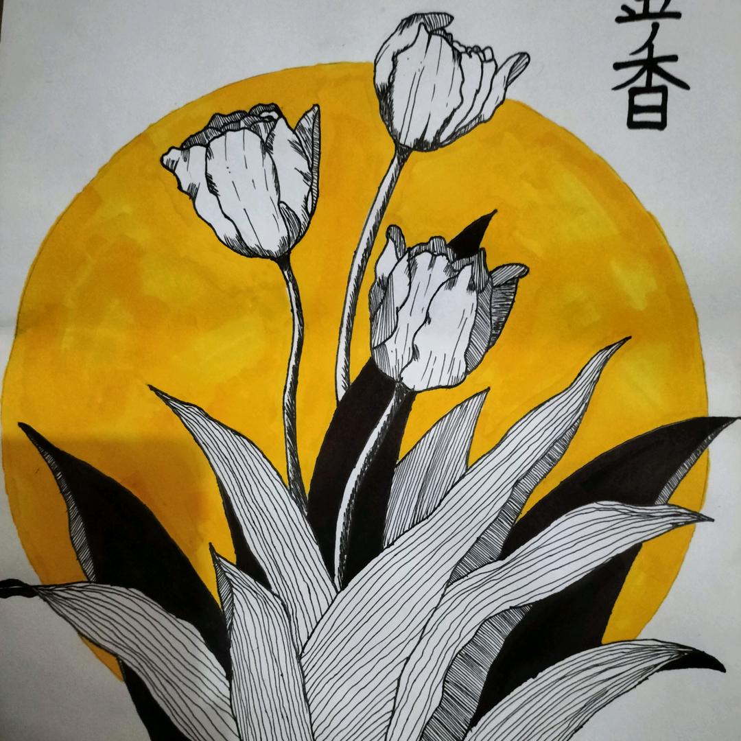 ꧁koi锦鲤.꧂