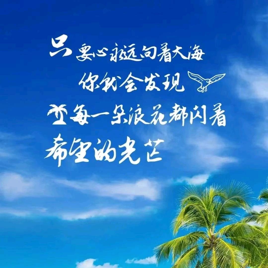 百姓超市酵母哥