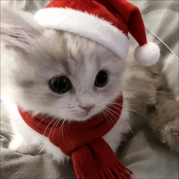 小安睡醒了