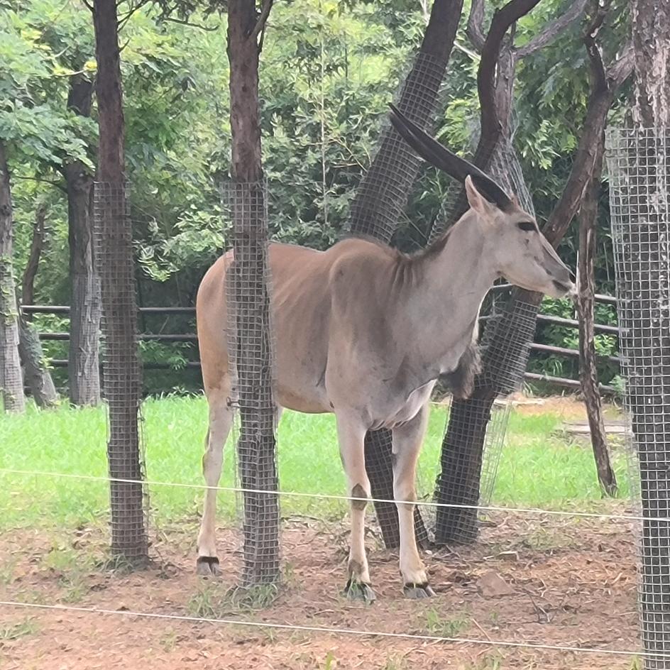 迈克啊涩头像