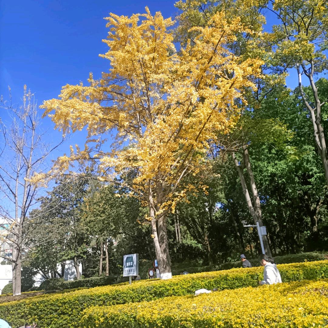 农村种地小哥