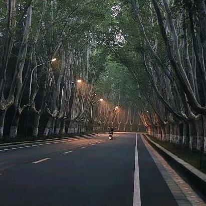 青岛恒农