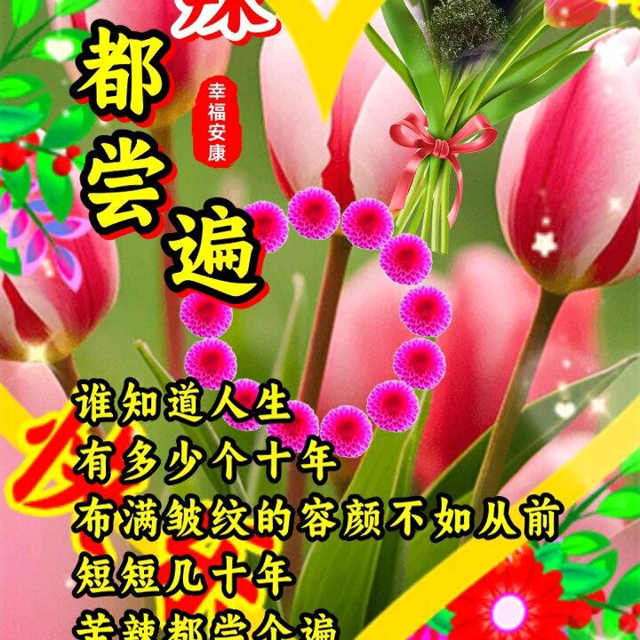 孤独的人生