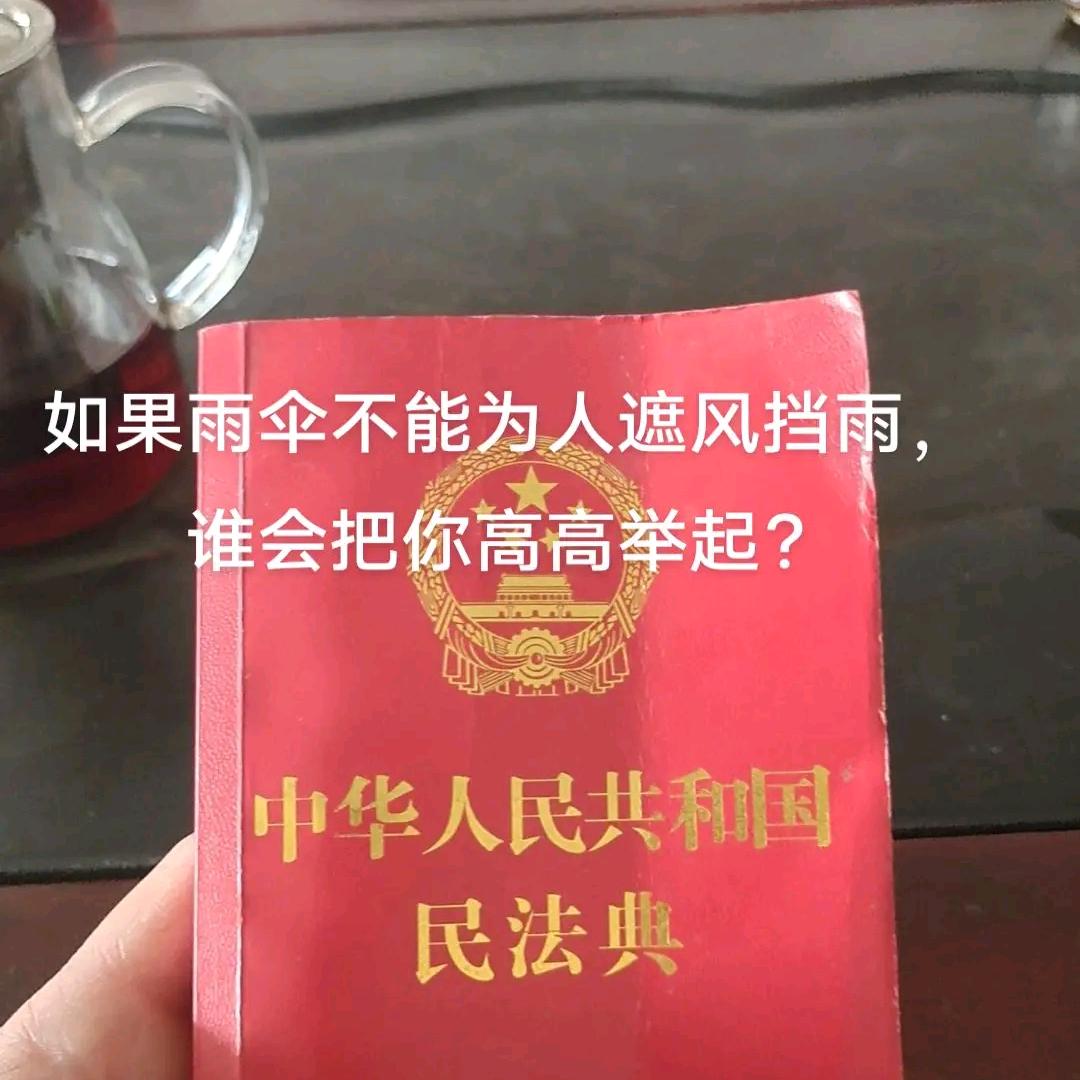 正义之师(赵工)