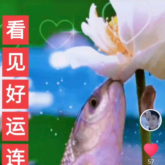 鱼咬莲花