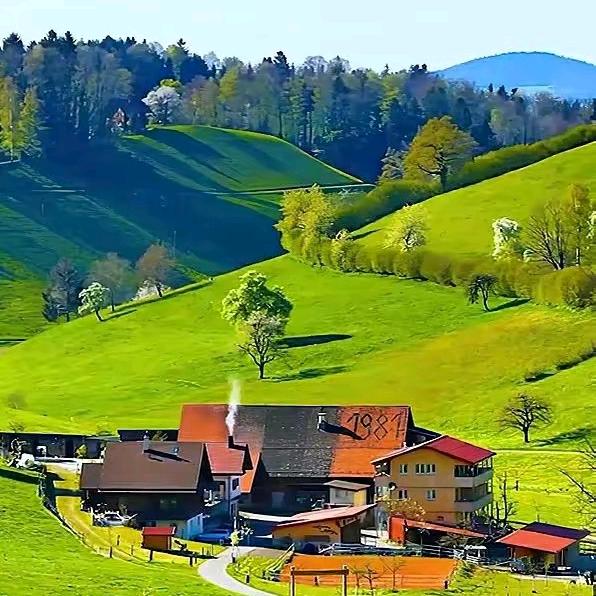 花开半夏酒饮微醺