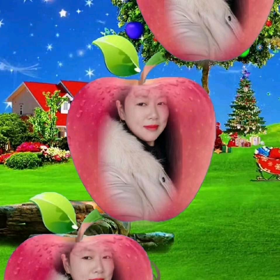 回到原点🌻🌹
