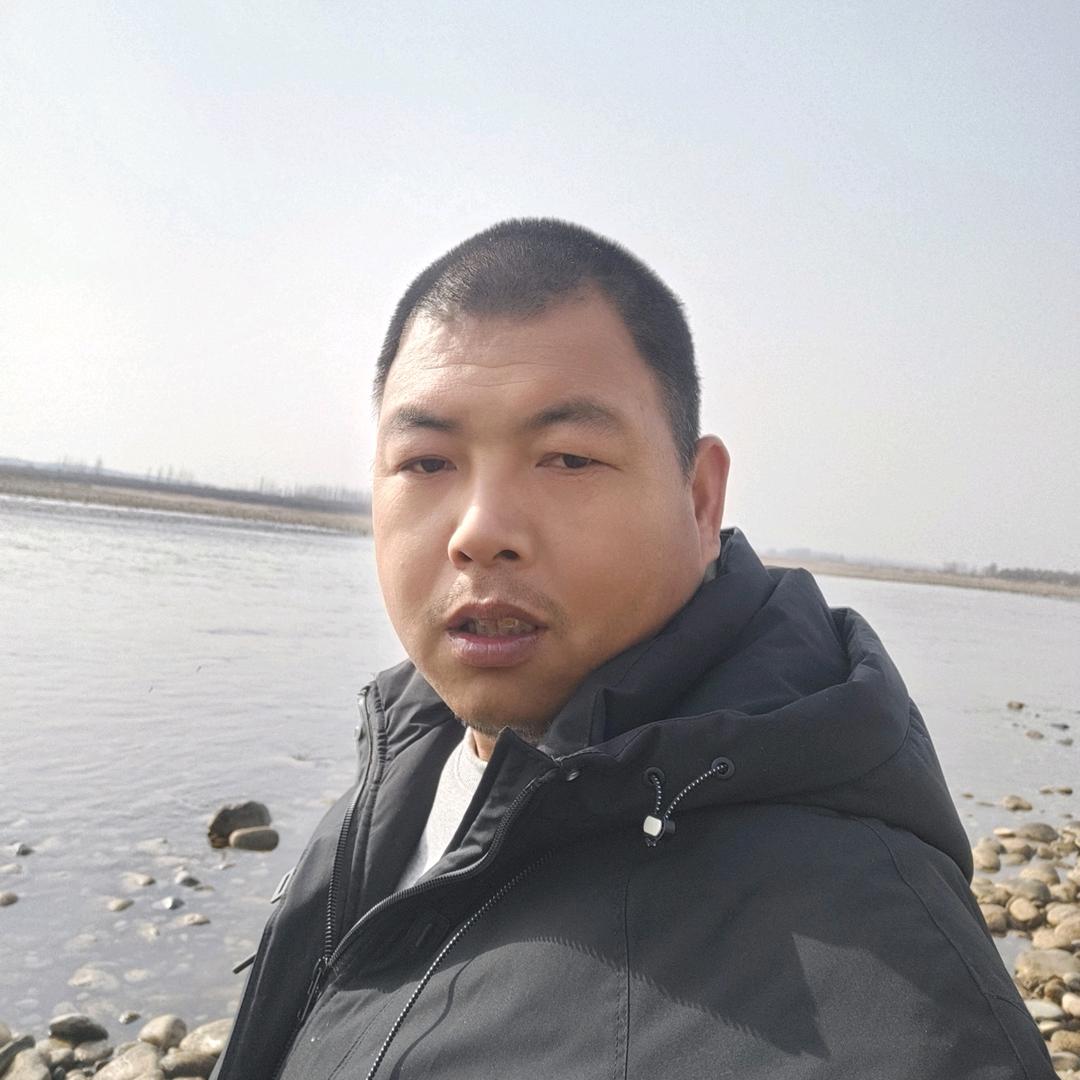 老酒馆的猫🐱🐱🐱🐱