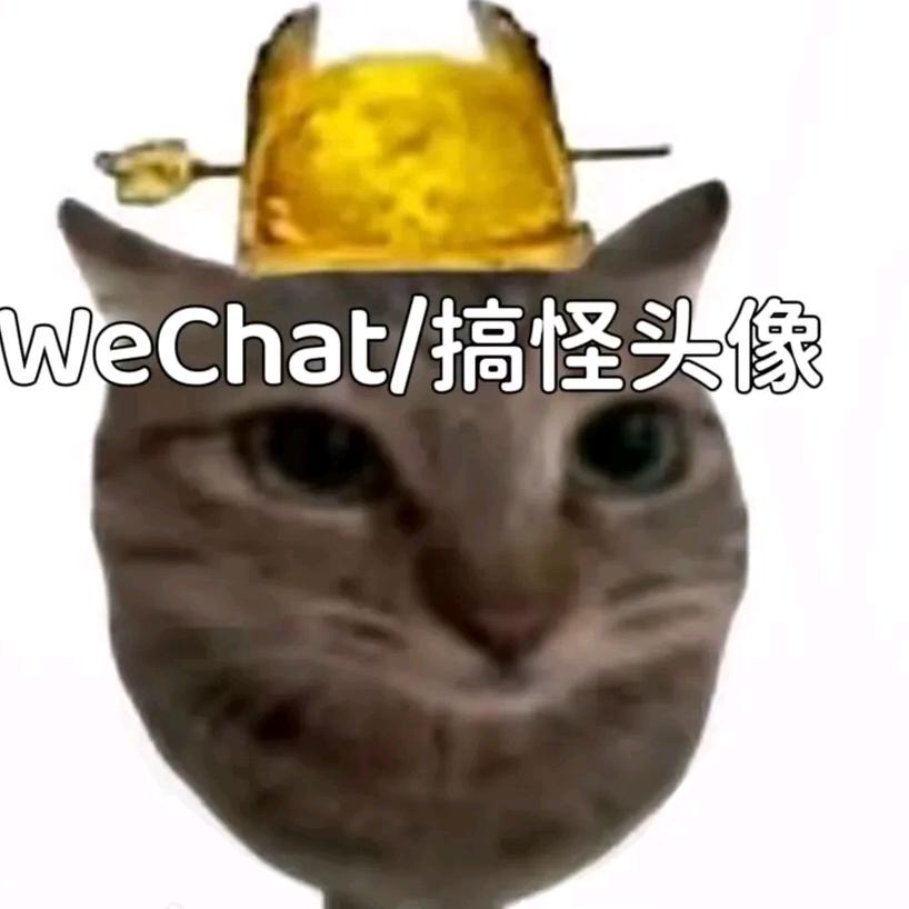 ₍˄·͈༝·͈˄*₎◞ ̑̑