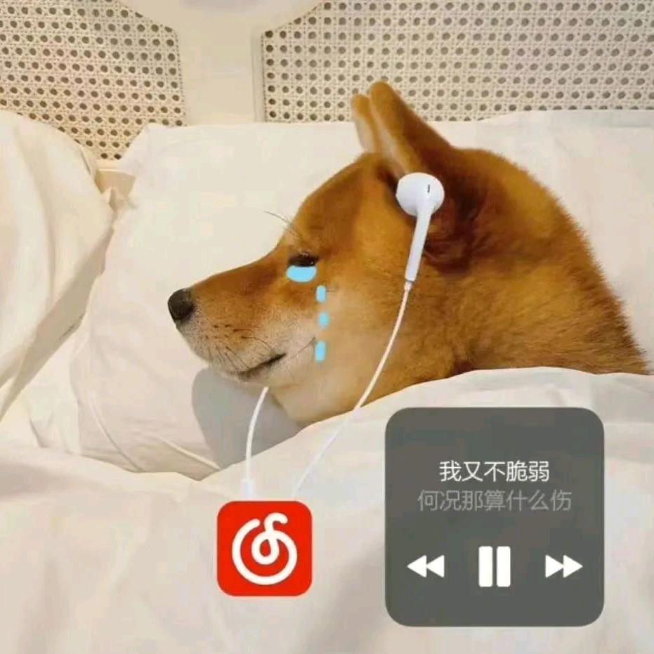 喜欢别人怀里的女孩n555iwⅰ%