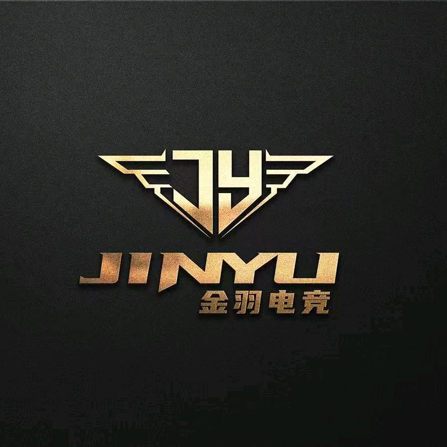金羽电竞