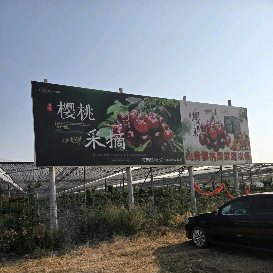 山菏樱桃园家庭农场
