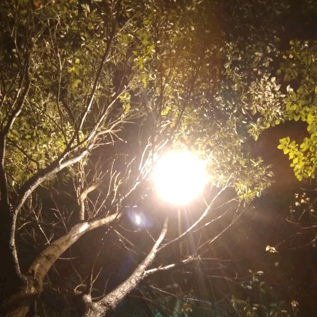 思欲