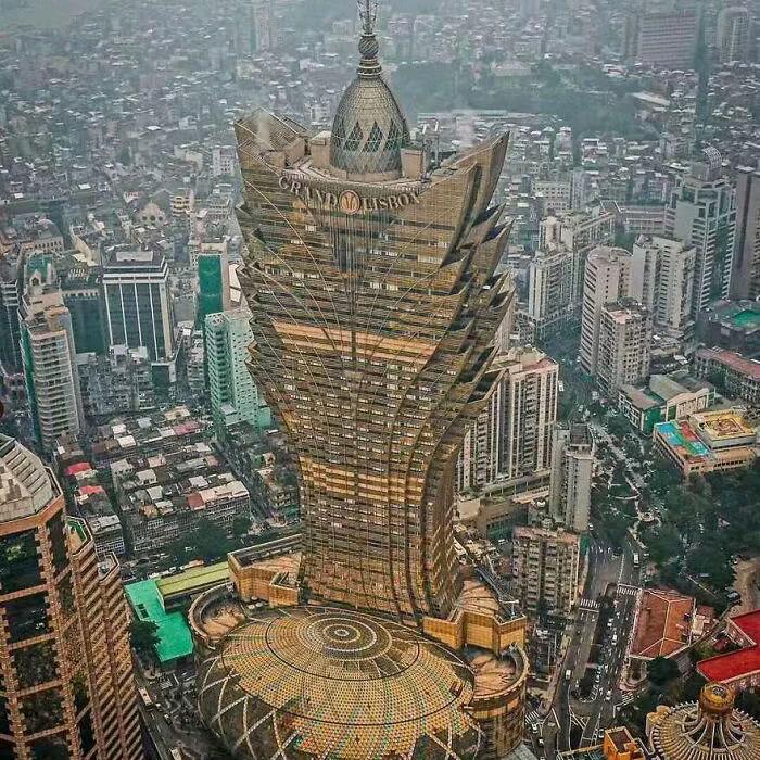 砍树小杨