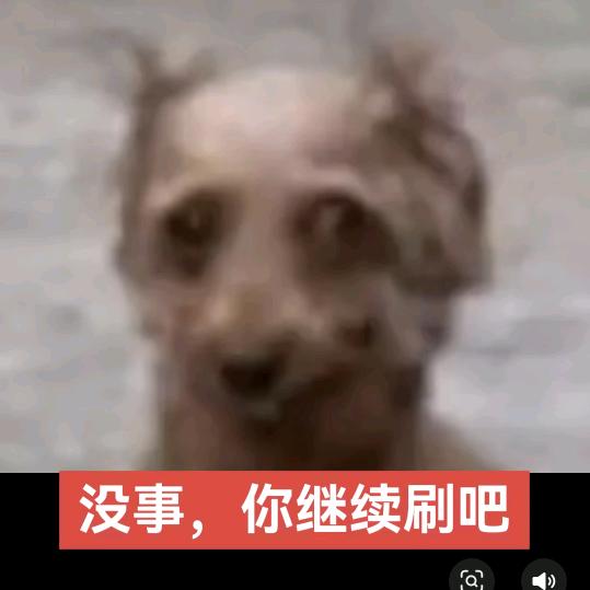 米朵