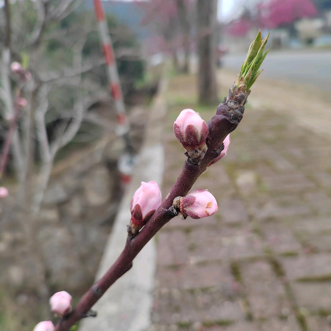 ～不想@蒋@道理～