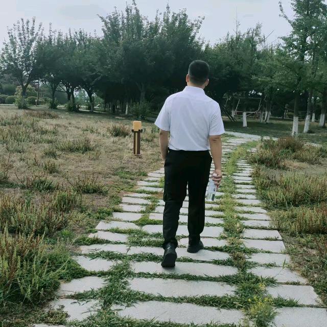 鹏程万里@