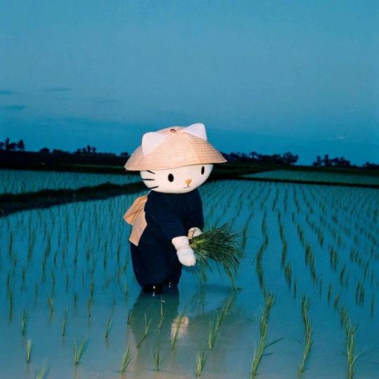 我们  走着瞧
