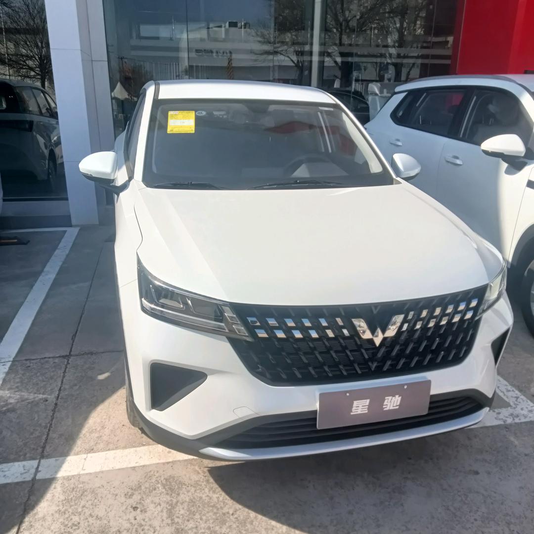 🌹金猪玉叶🌹