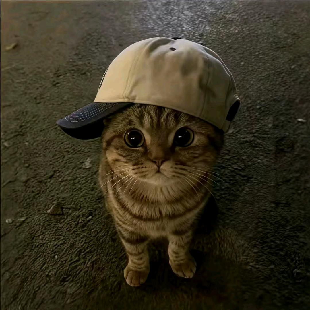 狗蛋