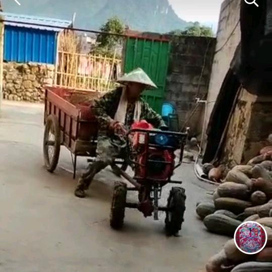 新农人（叔平）