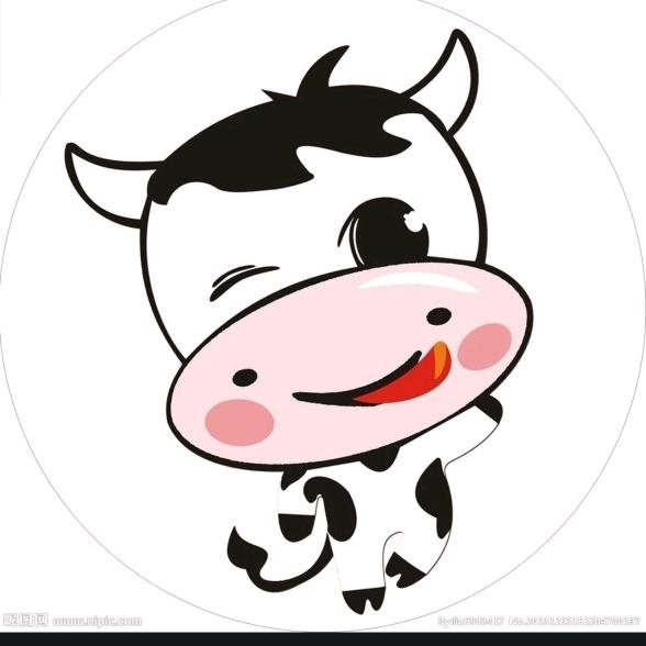 51606175053