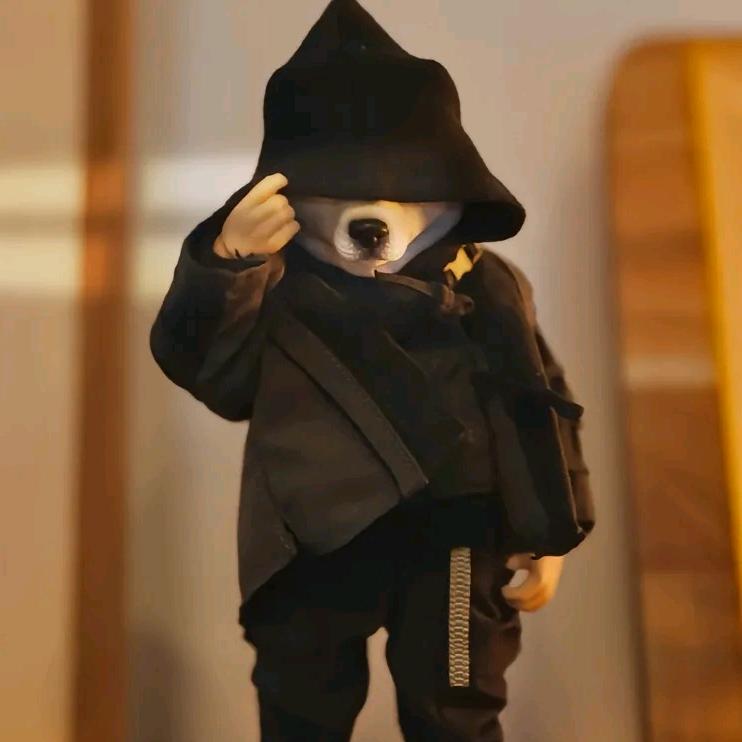 人不就是向死而生