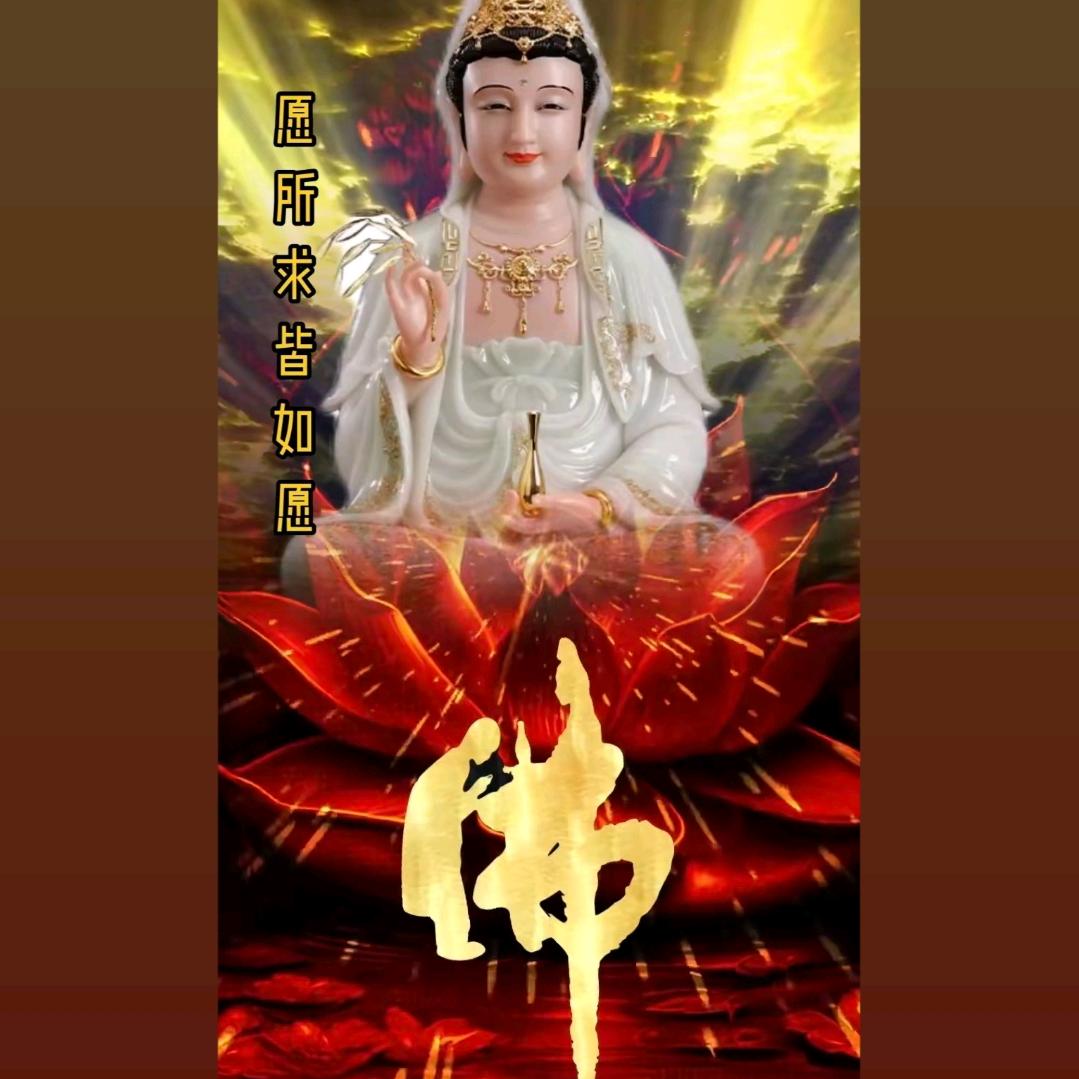 小橘子