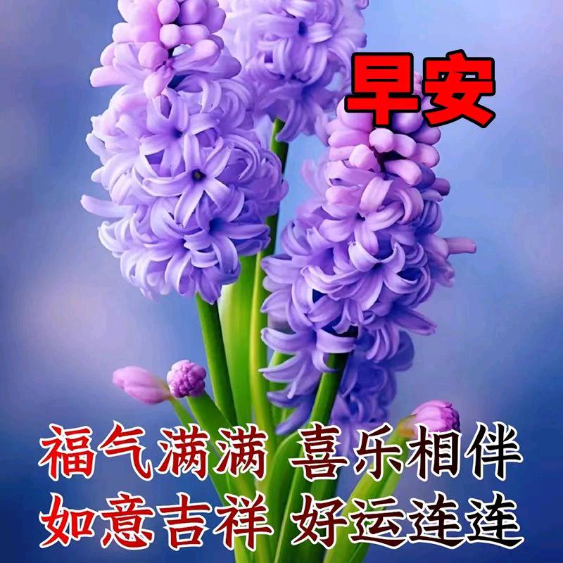 刘跃進