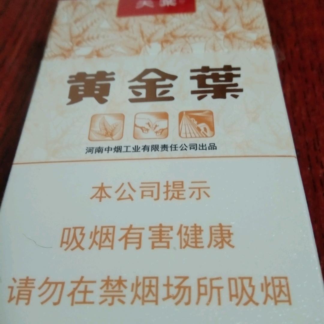 上海节米房产