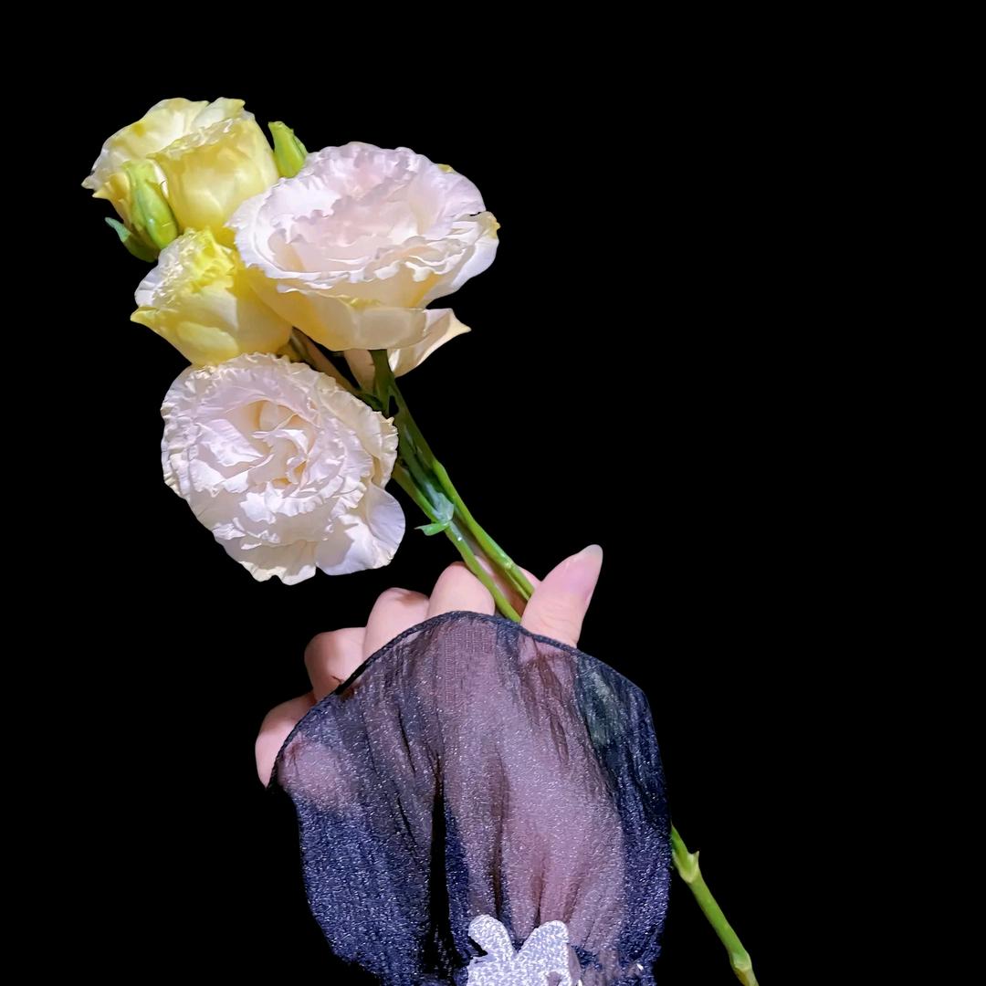 云淡风清🌸