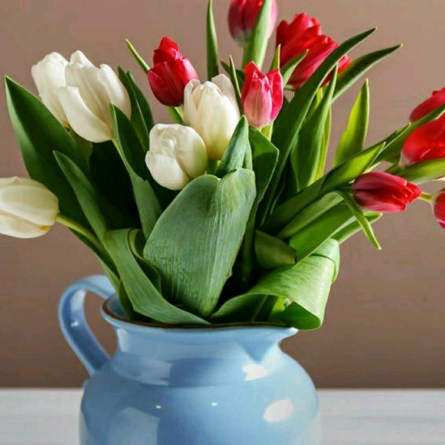 💞ঞ᭄风清໊明月໊ꦿഒᩚ࿐