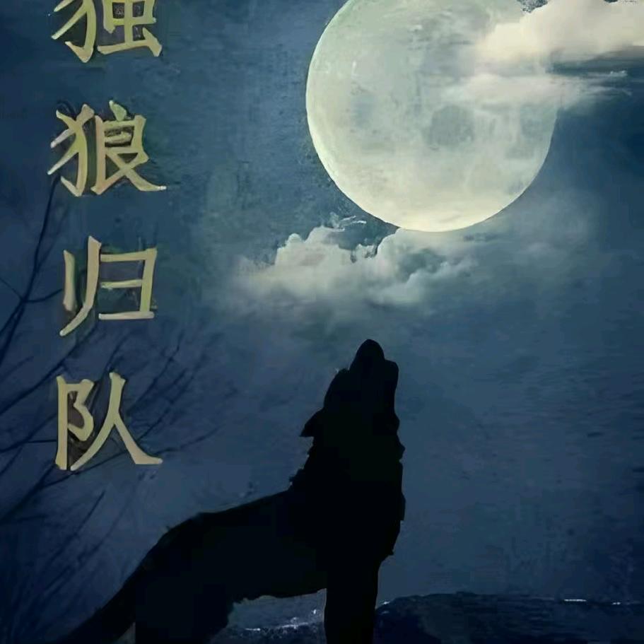 独狼归队