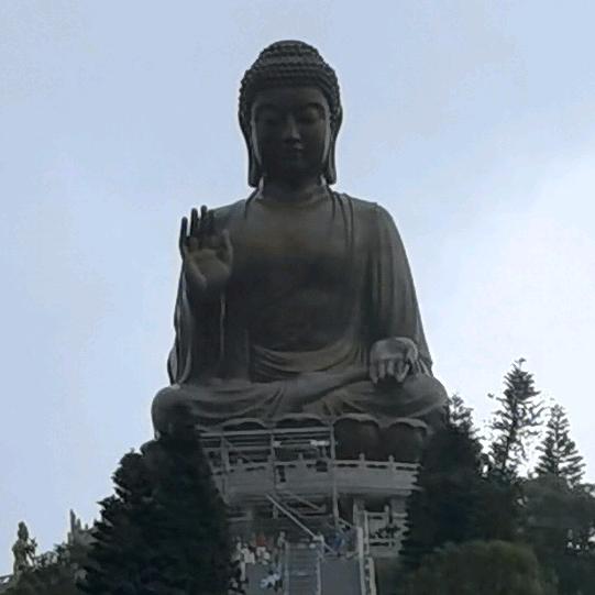 刘麟凤