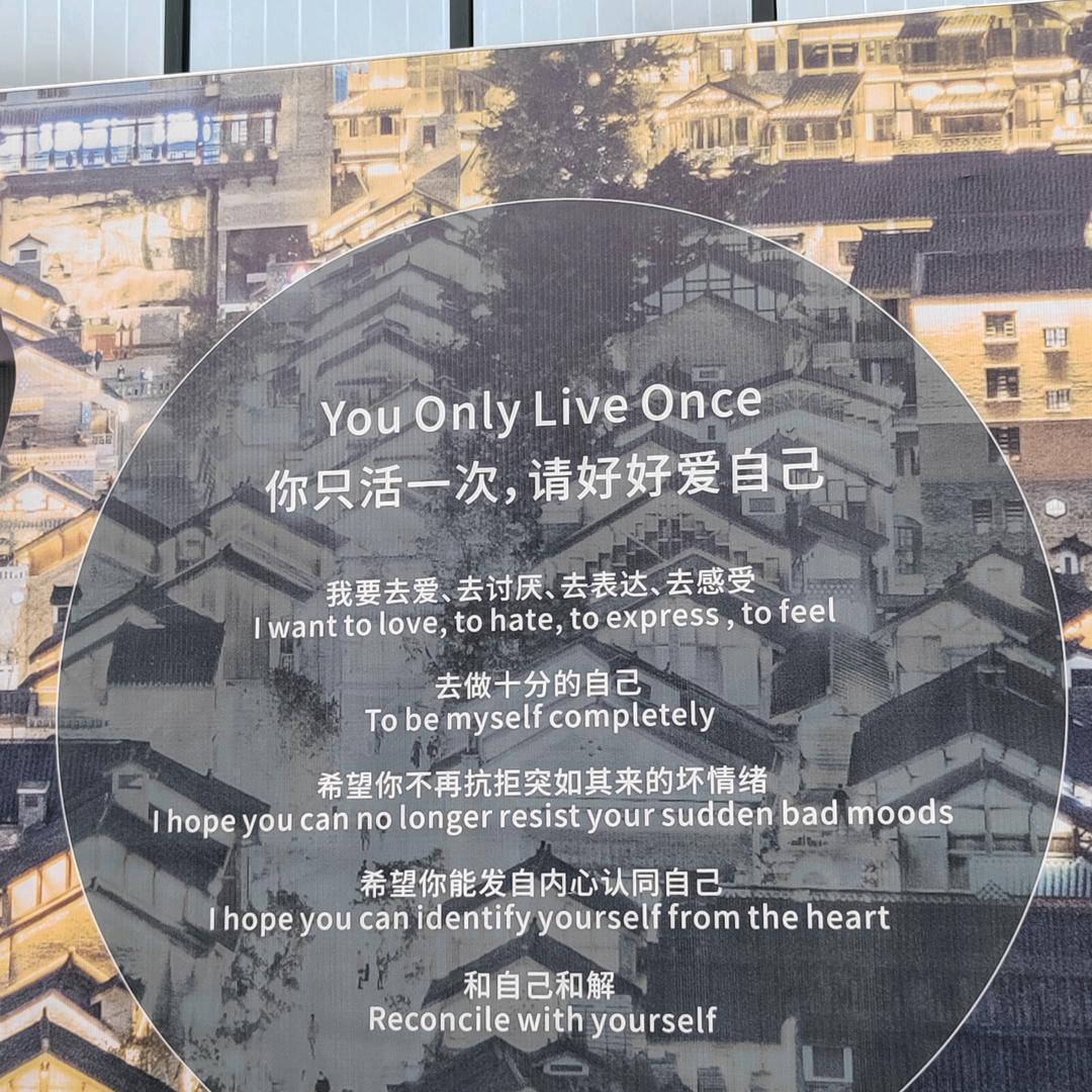 向阳蝶来