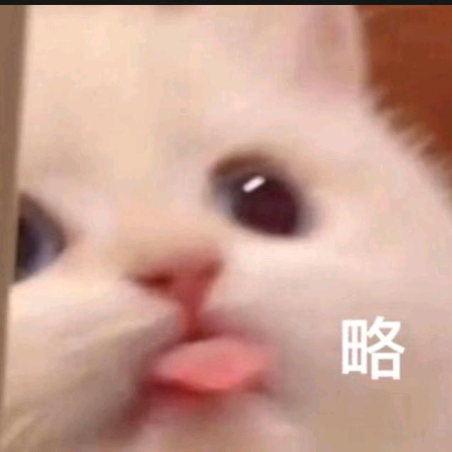石头捡到不