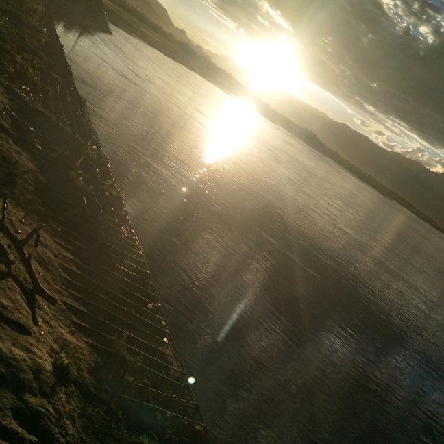 看热闹不羡事大