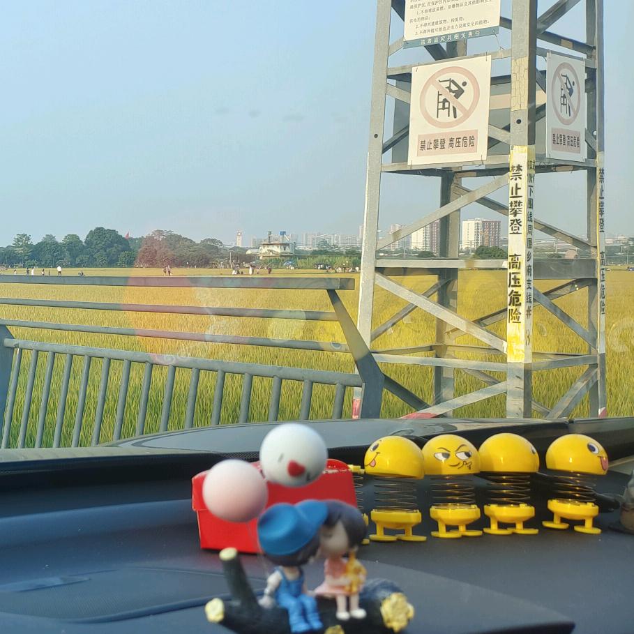 兜里有甜甜的糖