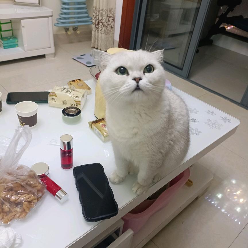 春天